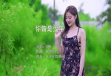 Avi-mp4-你曾是少年-SHE-DJ赫赫-车载美女写真视频