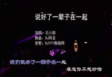 Avi-mp4-说好了一辈子在一起-石小群-DJ阿圣-车载夜店DJ视频
