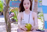 Avi-mp4-奢香夫人-小阿枫-DJFlower-车载美女写真视频