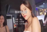 Avi-mp4-别对我说谎-黑龙-DJ何鹏-车载夜店DJ视频