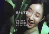 Avi-mp4-爱上你不是我的罪-黄美琪-DJ王绎龙-车载夜店DJ视频