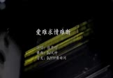 Avi-mp4-爱难求情难断-张鑫雨-DJ风神-车载夜店DJ视频