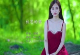 Avi-mp4-相思的债-陈瑞-DJ小豪-车载美女写真视频