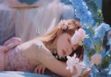 Avi-mp4-逞强-杨小壮-DJ阿谋-车载美女写真视频