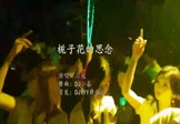 Avi-mp4-栀子花的思念-习冠-DJ小嘉-车载夜店DJ视频