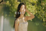 Avi-mp4-爱与被爱-雨鸣-DJ阿远-车载美女写真视频