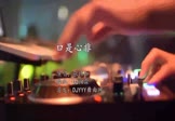 Avi-mp4-口是心非-张玮伽-DJ细霖-车载DJ舞曲视频