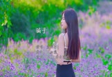 Avi-mp4-骗子-戴羽彤-DJ细霖-车载美女写真视频