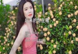 Avi-mp4-后来的你在哪-范茹-DJMJ-车载美女写真视频