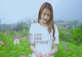 Avi-mp4-三生三幸-小匆匆-DJ阿柳-车载美女写真视频