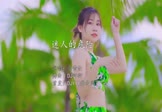 Avi-mp4-迷人的危险-蔡黄汝-DJ阿衍-车载美女打碟视频