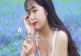 Avi-mp4-空城-杨坤-DJ炮哥-车载美女写真视频