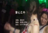 Avi-mp4-掌心之中-魏佳艺-南昌DJ阿松-车载夜店DJ视频