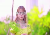 Avi-mp4-庸人自扰-王理文-DJ阿璨-车载美女写真视频