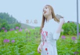 Avi-mp4-离人愁-李袁杰-DJ健仔-车载美女写真视频