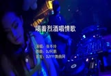 Avi-mp4-喝着烈酒唱情歌-张冬玲-DJ何鹏-车载夜店DJ视频