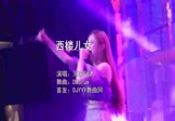 Avi-mp4-西楼儿女-海来阿木-DJSrue-车载美女打碟视频