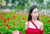 Avi-mp4-故事还长-云汐-DJ志军-车载美女写真视频