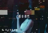 Avi-mp4-情非得已-女声-DJ版-车载DJ舞曲视频