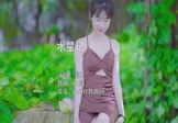 Avi-mp4-水星记-郭正-DJ版-车载美女写真视频