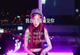 Avi-mp4-我在人海遇见你-弹棉花的小花-DJ小罗-车载美女打碟视频