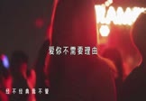 Avi-mp4-爱你不需要理由-DJ版-车载夜店DJ视频