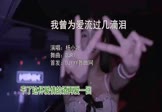 Avi-mp4-我曾为爱流过几滴泪-杨小壮-DJR7-车载夜店DJ视频