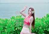 Avi-mp4-爱似水仙-金海心-DJ阿洋-车载美女写真视频