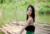 Avi-mp4-风中的承诺-小阿枫-DJ小祥-车载美女写真视频