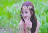 Avi-mp4-爱我就别伤害我-刘嘉亮-DJPad仔-车载美女写真视频