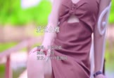 Avi-mp4-爱这么难-天奕兄弟-DJ版-车载美女写真视频