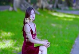 Avi-mp4-骗子-戴羽彤-DJHouse-车载美女写真视频