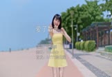 Avi-mp4-爱了散了-赵昊枫-DJcandy-车载美女热舞视频