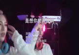 Avi-mp4-是想你的声音啊-傲七爷-MCYaoyao-车载美女打碟视频