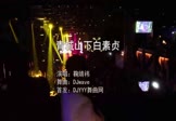 Avi-mp4-青城山下白素贞-鞠婧祎-DJwave-车载夜店DJ视频