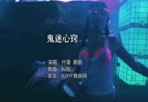 Avi-mp4-鬼迷心窍-付豪-鹏鹏-DJ版-车载夜店DJ视频