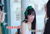 Avi-mp4-爱不会变-张茜-DJ沈念-车载美女车模视频