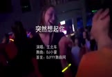 Avi-mp4-突然想起你-王北车-DJ小豪-车载夜店DJ视频