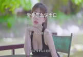 Avi-mp4-爱要怎么说出口-曲肖冰-DJ阿卓-车载美女写真视频