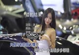 Avi-mp4-错的结果-唐古-DJ国会-车载美女车模视频
