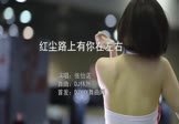 Avi-mp4-红尘路上有你在左右-张怡诺-DJ伟然-车载美女车模视频