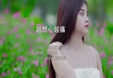 Avi-mp4-越想心越痛-彭妃妃-安儿陈-DJ可乐-车载美女写真视频