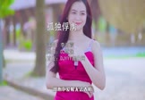 Avi-mp4-孤独俘虏-李海霞-DJ默涵-车载美女写真视频
