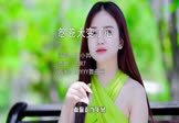Avi-mp4-怨苍天变了心-王小帅-DJR7-车载美女写真视频