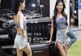 Avi-mp4-一首歌-肖家永-DJCandy-车载美女车模视频