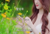Avi-mp4-爱经年-王淋-DJQQ-车载美女写真视频