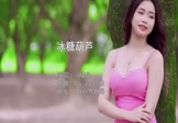 Avi-mp4-冰糖葫芦-冯晓泉-DJsiyan四眼-车载美女写真视频