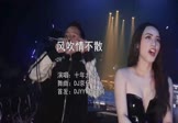 Avi-mp4-风吹情不散-十年九夏-DJ京仔-车载夜店DJ视频