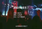 Avi-mp4-满城的灯都亮了-魏佳艺-DJ默涵-车载夜店DJ视频