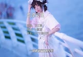 Avi-mp4-荒漠玫瑰-龙江辉-DJ默涵-车载美女写真视频